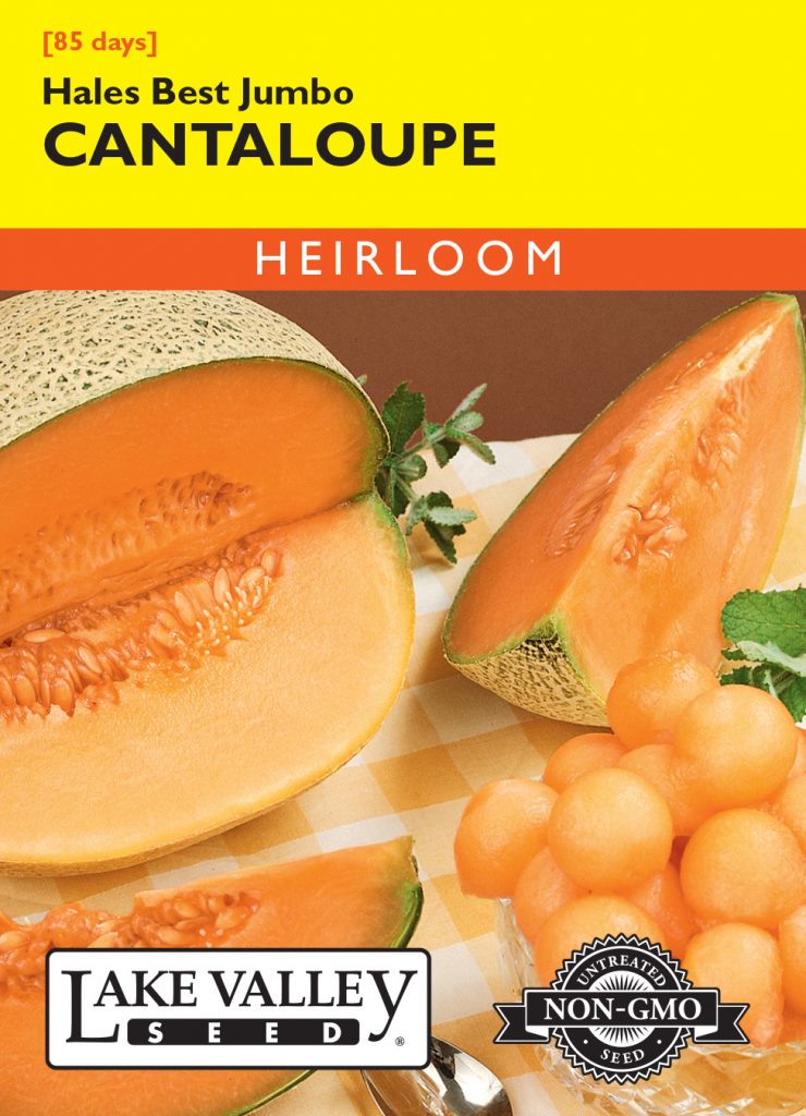 Cantaloupe Hales Best Jumbo Item 66 Lake Valley Seed