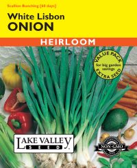Onion White Lisbon Bunching