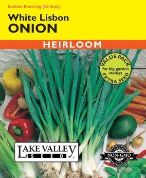 Onion White Lisbon Bunching