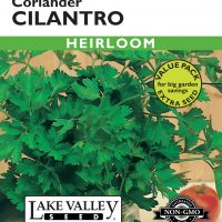 Cilantro (Coriander) - Item #664