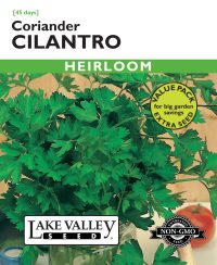 Cilantro (Coriander) - Item #664