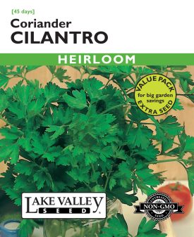 Cilantro (Coriander) - Item #664