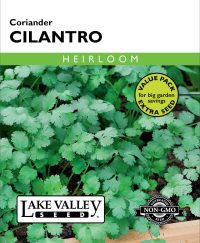 Cilantro (Coriander) - Item #664