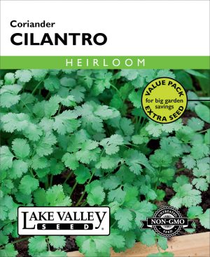 Cilantro (Coriander) - Item #664