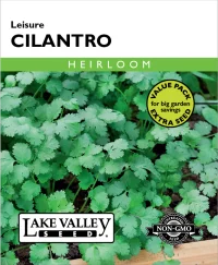 Cilantro Leisure - Item #664