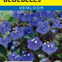 Bluebells California - Item #669