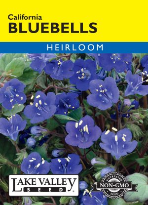 Bluebells California - Item #669
