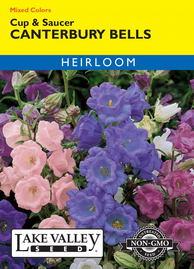 Canterbury Bells Cup & Saucer Mixed Colors Item 67 Lake Valley Seed