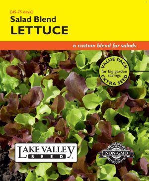 Lettuce Salad Blend