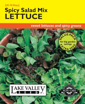 Lettuce Spicy Salad Mix