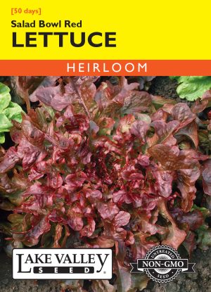 Lettuce Salad Bowl Red