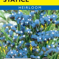 Statice Heavenly Blue