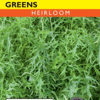 Mustard Greens Mizuna