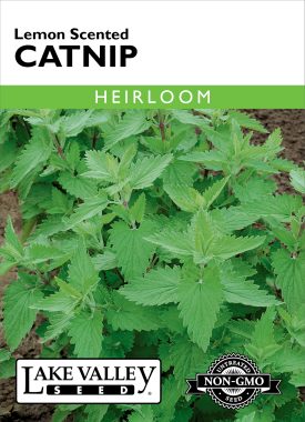 Catnip Lemon Scented - Item #681
