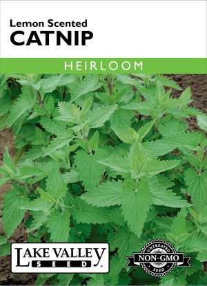 Catnip Lemon Scented - Item #681