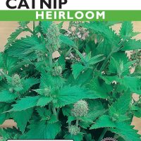 Catnip Lemon Scented