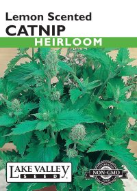 Catnip Lemon Scented