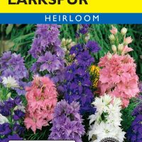 Larkspur Hyacinth-Flowered