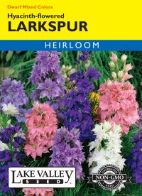 Larkspur Hyacinth-Flowered