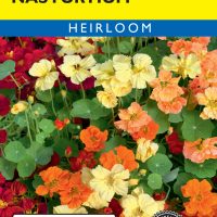 Nasturtium Whirlybird Mixed Colors
