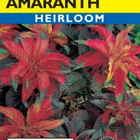 Amaranthus Joseph's Coat