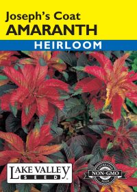 Amaranthus Joseph's Coat