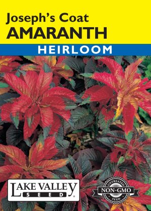 Amaranthus Joseph's Coat