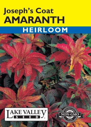 Amaranthus Joseph's Coat