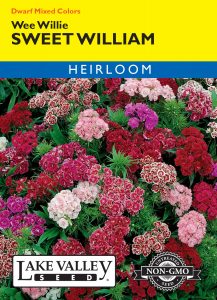 Sweet William Wee Willie Mixed Colors – Item #690