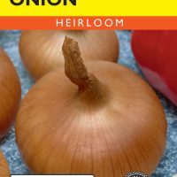 Onion Walla Walla Sweet