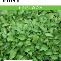 Mint Pennyroyal