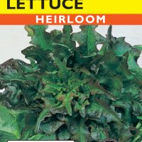 Lettuce Red Oakleaf Brunia