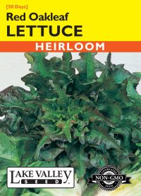 Lettuce Red Oakleaf Brunia