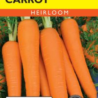 Carrot Danvers Half Long