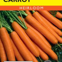 Carrot Scarlet Nantes