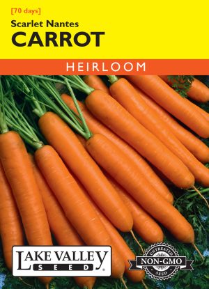 Carrot Scarlet Nantes