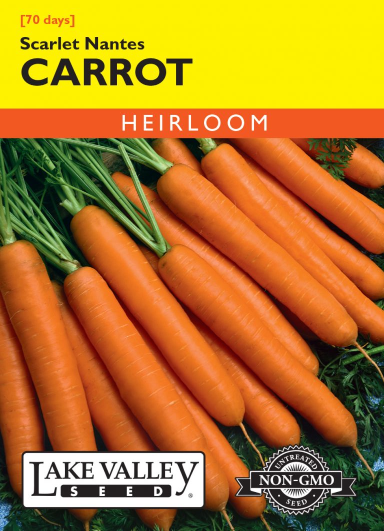 Carrot Scarlet Nantes Item 73 Lake Valley Seed
