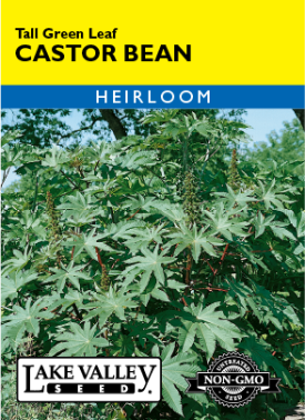 Castor Bean Tall Green Leaf - Item #74