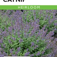Catnip Wild - Item #76