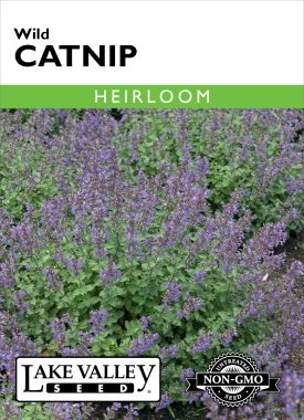 Catnip Wild - Item #76
