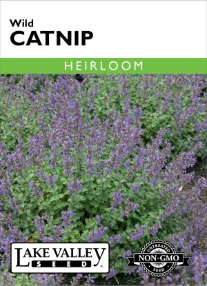 Catnip Wild - Item #76