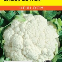 Cauliflower Early Snowball