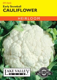 Cauliflower Early Snowball