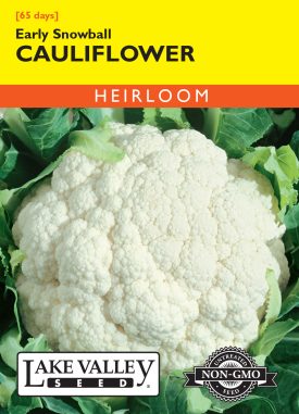 Cauliflower Early Snowball