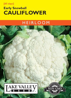 Cauliflower Early Snowball