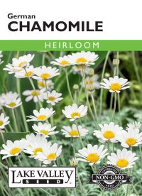 Chamomile German - Item #80