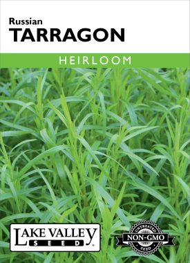 Tarragon - Item #8012