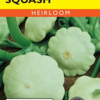 Squash (Summer) Pattypan Green