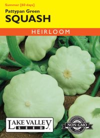 Squash (Summer) Pattypan Green