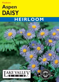 Daisy Aspen (Fleabane)